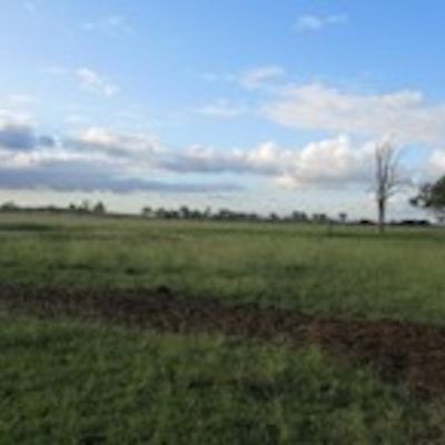 澳大利亚绿洲农商澳大利亚的农场地产买卖专家
